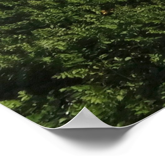 Abbotts Lagoon I in Point Reyes National Seashore Poster (Hoek)