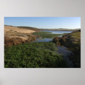 Abbotts Lagoon I in Point Reyes National Seashore Poster (Voorkant)