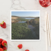 Abbotts Lagoon I in Point Reyes National Seashore Servet (Insitu)