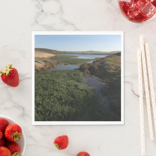 Abbotts Lagoon I in Point Reyes National Seashore Servet (Insitu)
