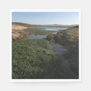 Abbotts Lagoon I in Point Reyes National Seashore Servet