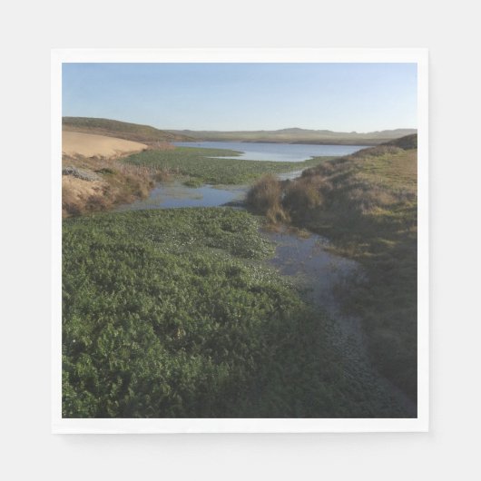 Abbotts Lagoon I in Point Reyes National Seashore Servet (Voorkant)
