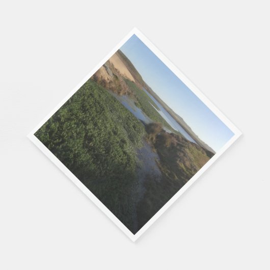 Abbotts Lagoon I in Point Reyes National Seashore Servet (Hoek)