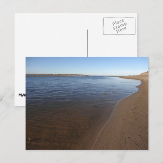 Abbotts Lagoon II bij Point Reyes National Seashor Briefkaart (Voorkant / Achterkant)