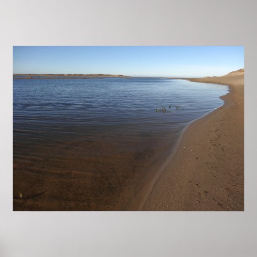 Abbotts Lagoon II in Point Reyes National Seashore Poster (Voorkant)