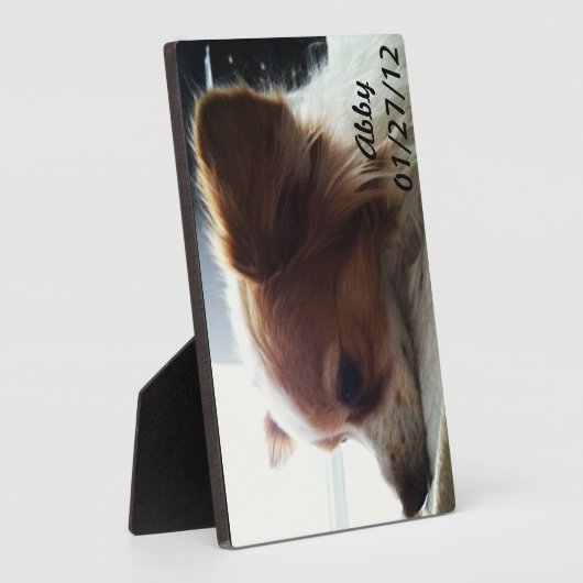 Abby 2012 fotoplaat (Zijkant)