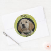 Abby 2012 Sticker Sheet (Envelop)