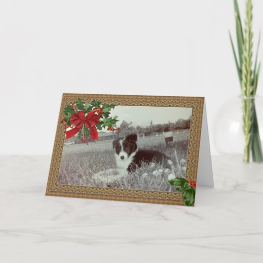 Abby de Geweldige Border Collie ~ Kerst Kaart (Voorkant)
