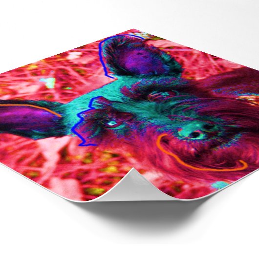 Abby de Schnauzer Poster (Hoek)