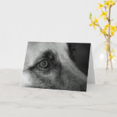 Abby German Shephed Watchful Eye Blank Kaart (Gele Bloem)