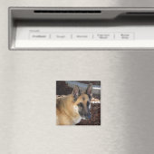 Abby German Shepherd Magnet (Insitu (Vaatwasser))