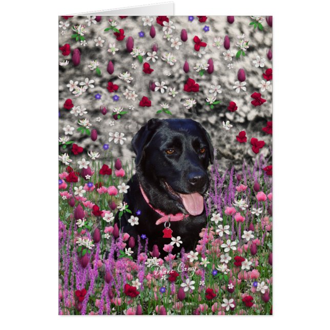 Abby in bloemen - Black Lab Dog (Voorkant)