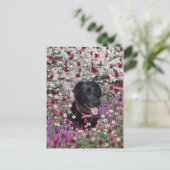 Abby in bloemen - Black Lab Dog Briefkaart (Staand voorkant)