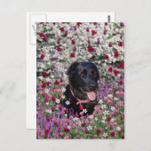 Abby in bloemen - Black Lab Dog Briefkaart (Voorkant / Achterkant)