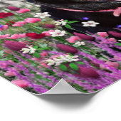 Abby in bloemen - Black Lab Dog Poster (Hoek)