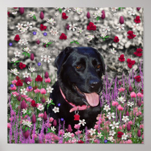 Abby in bloemen - Black Lab Dog Poster