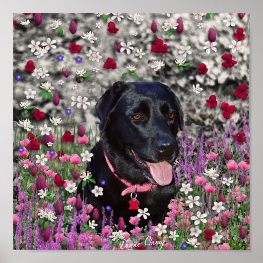 Abby in bloemen - Black Lab Dog Poster (Voorkant)