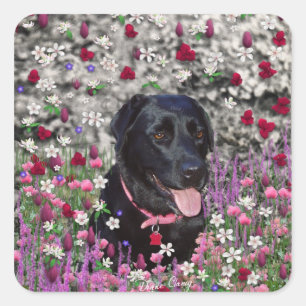 Abby in bloemen - Black Lab Dog Vierkante Sticker