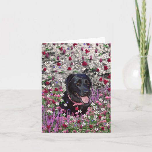 Abby in Bloemen - de Zwarte Hond van het Kaart (Voorkant)