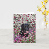 Abby in Bloemen - de Zwarte Hond van het Kaart (Gele Bloem)