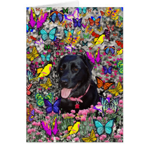 Abby in Butterflies - Black Lab Dog