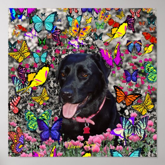 Abby in Butterflies - Black Lab Dog Poster (Voorkant)