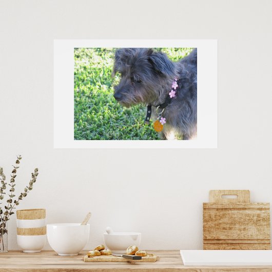Abby Mae Poster (Keuken)