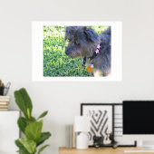 Abby Mae Poster (Thuiskantoor)
