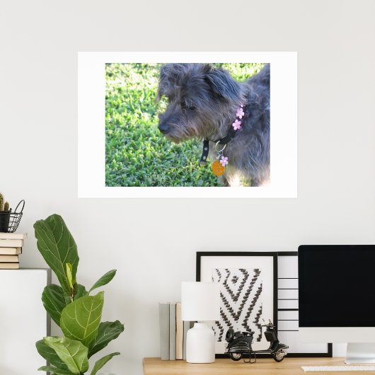 Abby Mae Poster (Thuiskantoor)