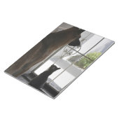 Abby met Zorro aan de voorkant Blocnote (Schuin)