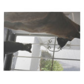 Abby met Zorro aan de voorkant Blocnote (Voorkant)