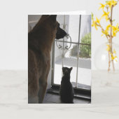 Abby met Zorro aan de voorkant leeg Wenskaart Kaart (Gele Bloem)