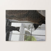 Abby met Zorro aan de voorkant van Puzzle Legpuzzel (Horizontaal)