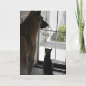 Abby met Zorro-Jubileum kaart (Voorkant)