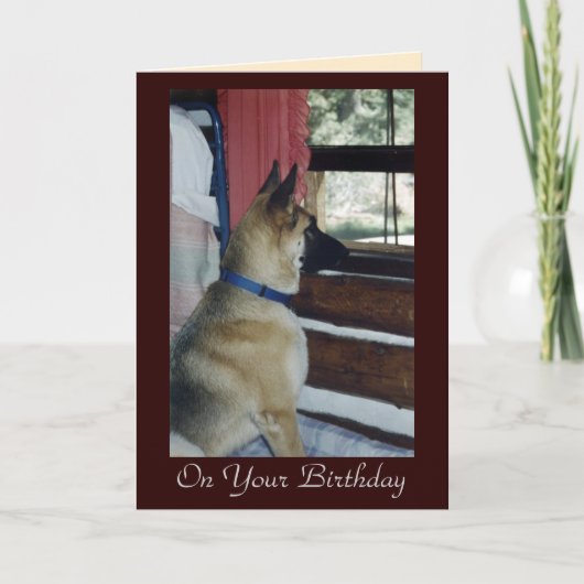 Abby wacht de Kaart van de Verjaardag (Voorkant)