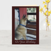 Abby wacht de Kaart van de Verjaardag (Gele Bloem)