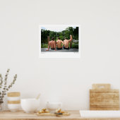 ABC-5374, Boys of Summer, Lee Vandergrift Poster (Keuken)