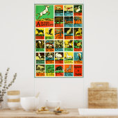 Abc Alphabet animal poster - Teaching Aid Chart (Keuken)