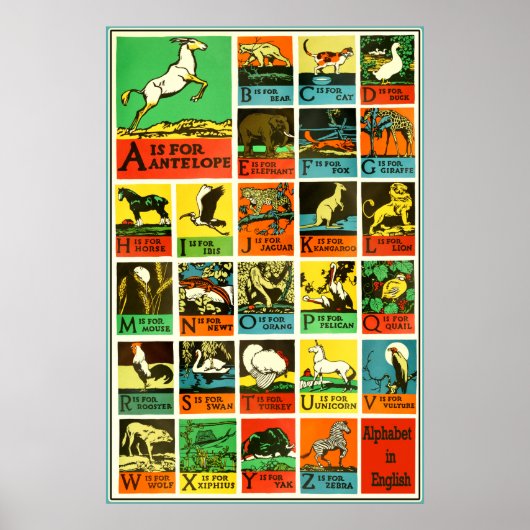 Abc Alphabet animal poster - Teaching Aid Chart (Voorkant)