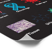 ABC van biologie Poster (Hoek)