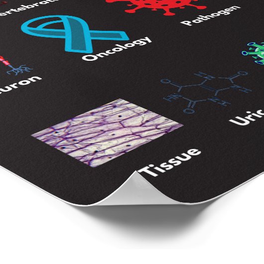 ABC van biologie Poster (Hoek)