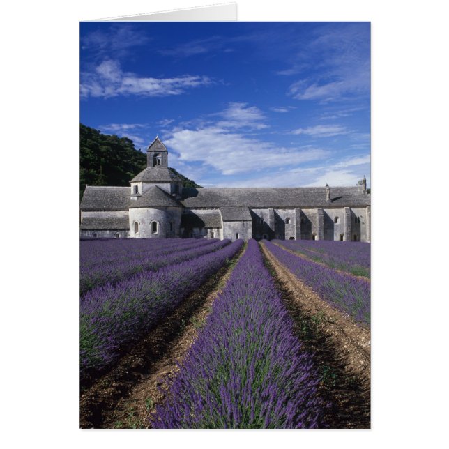 Abdij van Sénanque, Gordes, Vaucluse, Provence, (Voorkant)