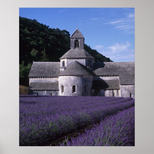 Abdij van Sénanque, Gordes, Vaucluse, Provence, 2 Poster (Voorkant)