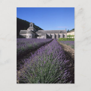 Abdij van Sénanque, Gordes, Vaucluse, Provence, Briefkaart