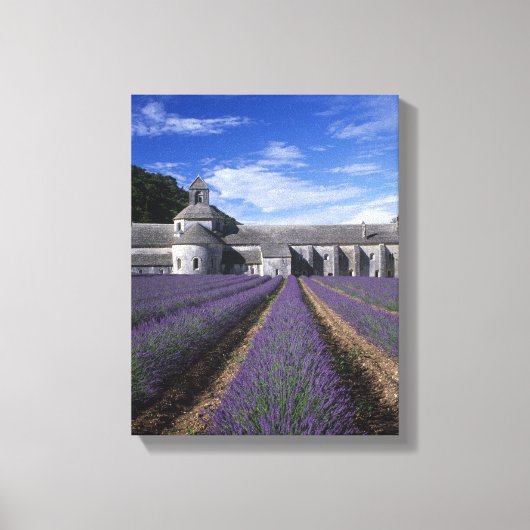 Abdij van Sénanque, Gordes, Vaucluse, Provence, Canvas Afdruk (Voorkant)