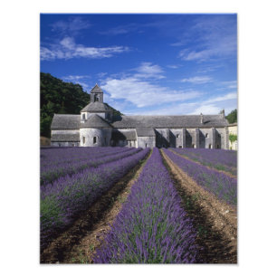 Abdij van Sénanque, Gordes, Vaucluse, Provence, Foto Afdruk