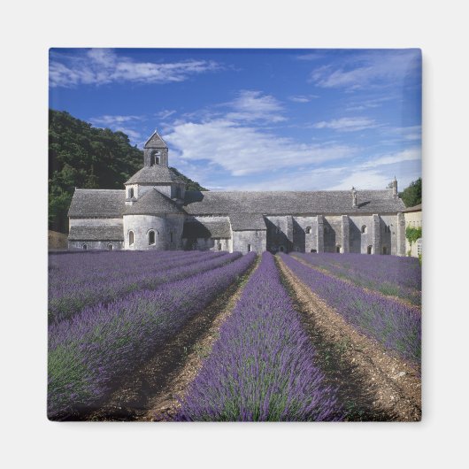 Abdij van Sénanque, Gordes, Vaucluse, Provence, Magneet (Voorkant)