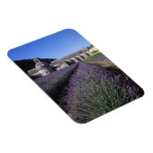 Abdij van Sénanque, Gordes, Vaucluse, Provence, Magneet (Rechterzijde)