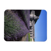 Abdij van Sénanque, Gordes, Vaucluse, Provence, Magneet (Horizontaal)