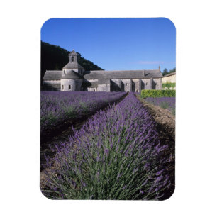 Abdij van Sénanque, Gordes, Vaucluse, Provence, Magneet